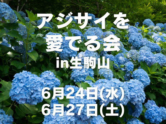 【6月開催】女性のためのアジサイを見る会 in 生駒山