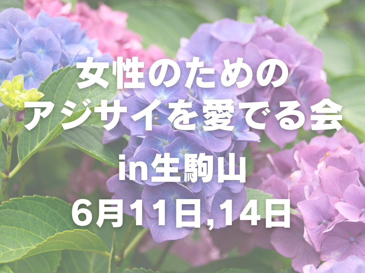 【6月開催】女性のためのアジサイを見る会 in 生駒山