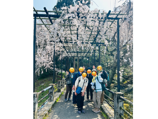 【3月開催】お花見ハイクin京都トレイルのツアーレポ