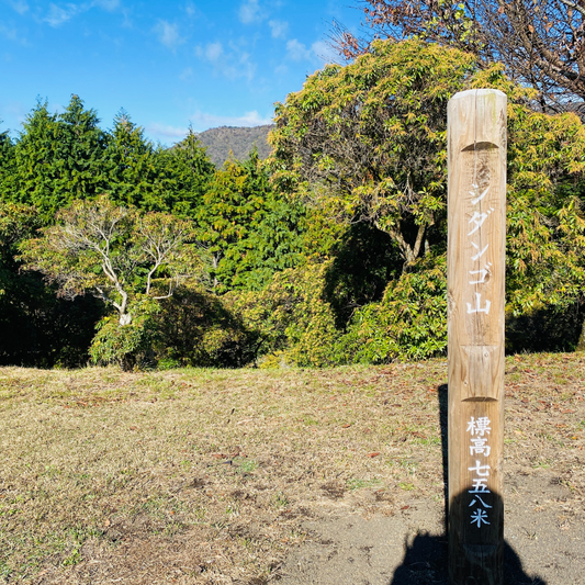 【11月開催】歩き方講習会レポ in丹沢