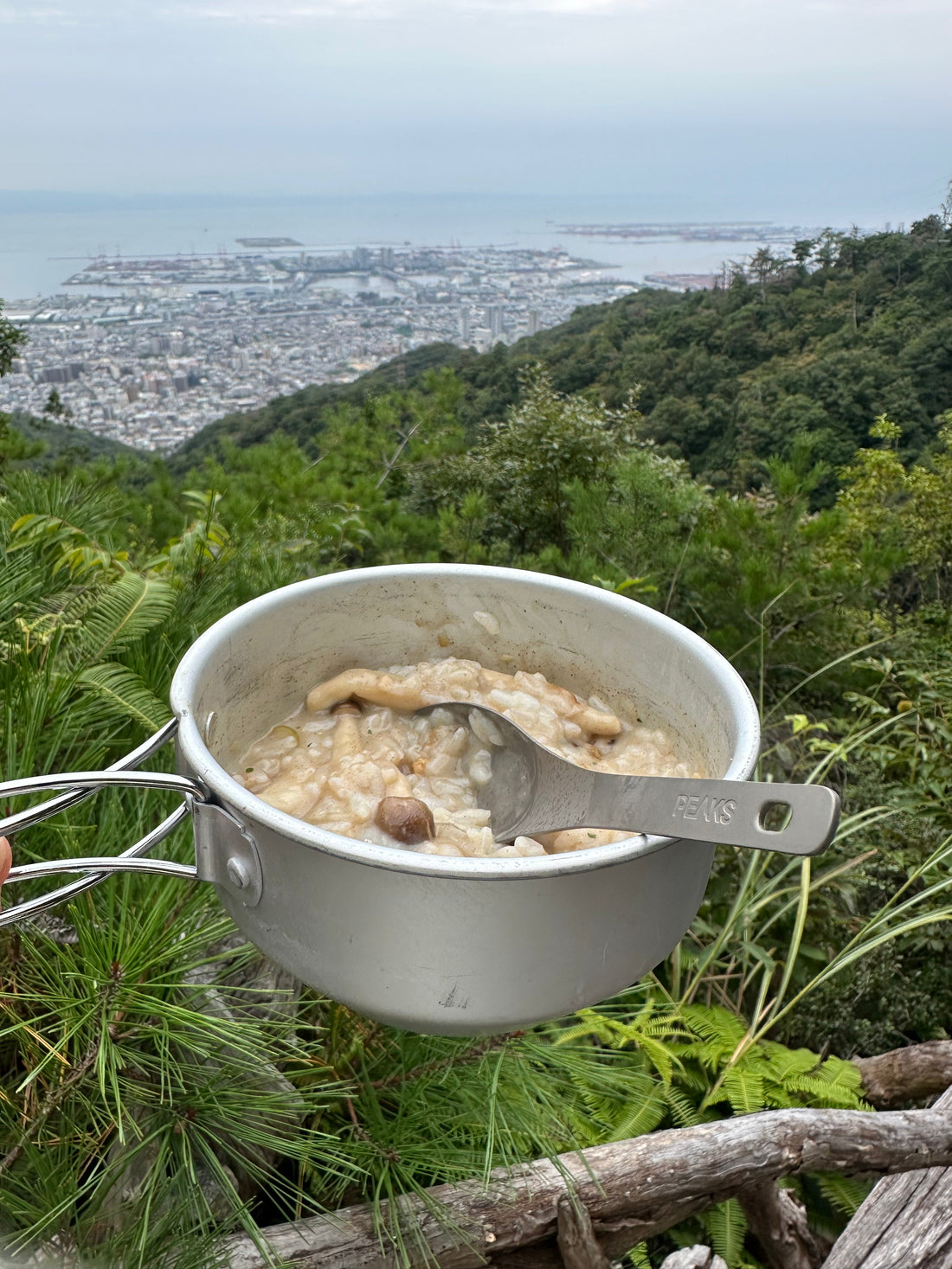 山ご飯レシピ　きのこのクリームリゾット