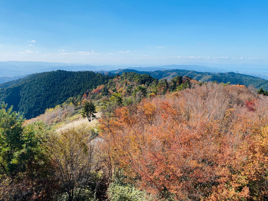 【11月開催】和泉葛城山～犬鳴山ツアーレポ