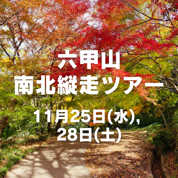 【11月開催】紅葉登山ツアー in 六甲山