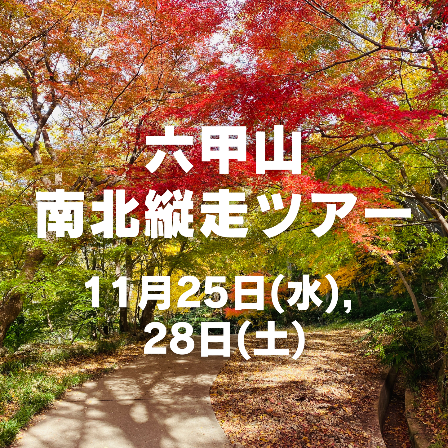 【11月開催】紅葉登山ツアー in 六甲山