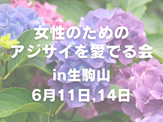 【6月開催】女性のためのアジサイを見る会 in 生駒山