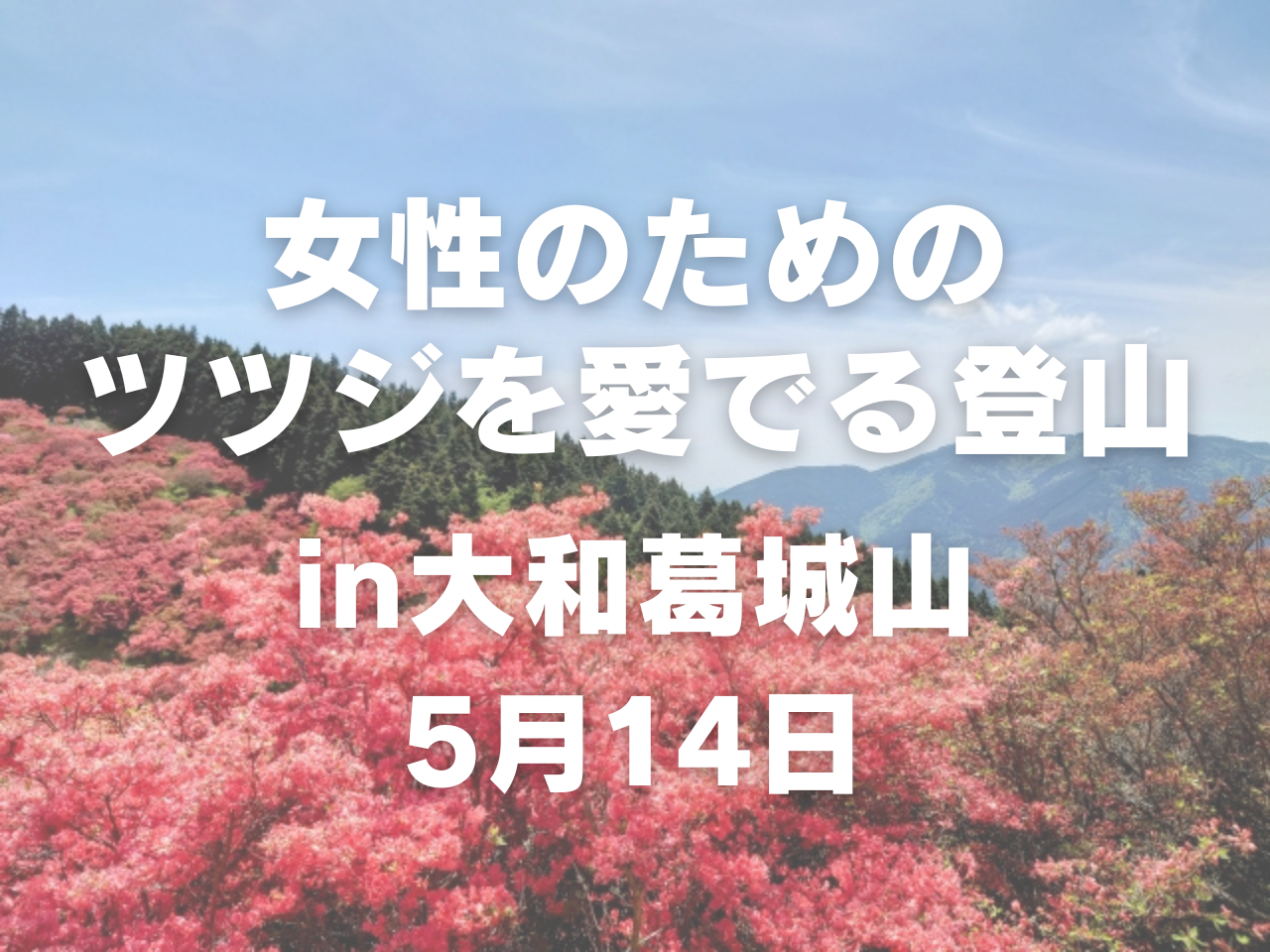 【5月開催】女性のためのツツジを愛でる登山 in大和葛城山