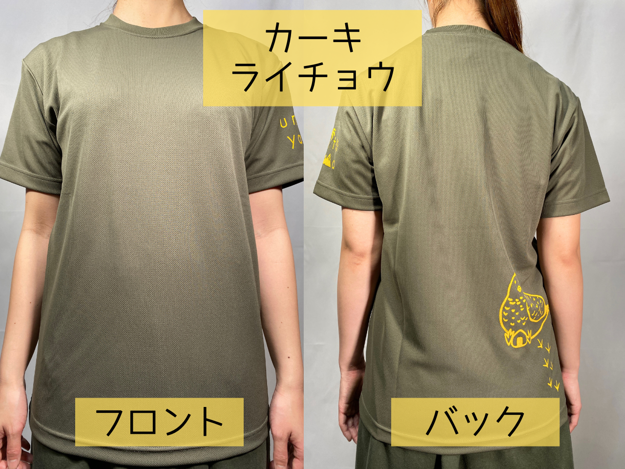 汗ジミが目立ちにくい吸水速乾Tシャツ　ライチョウプリント