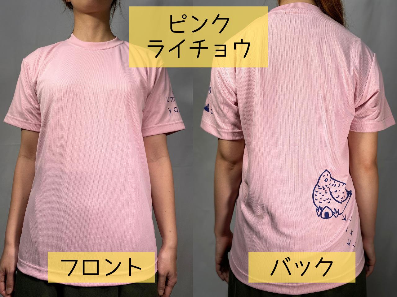 汗ジミが目立ちにくい吸水速乾Tシャツ　ライチョウプリント