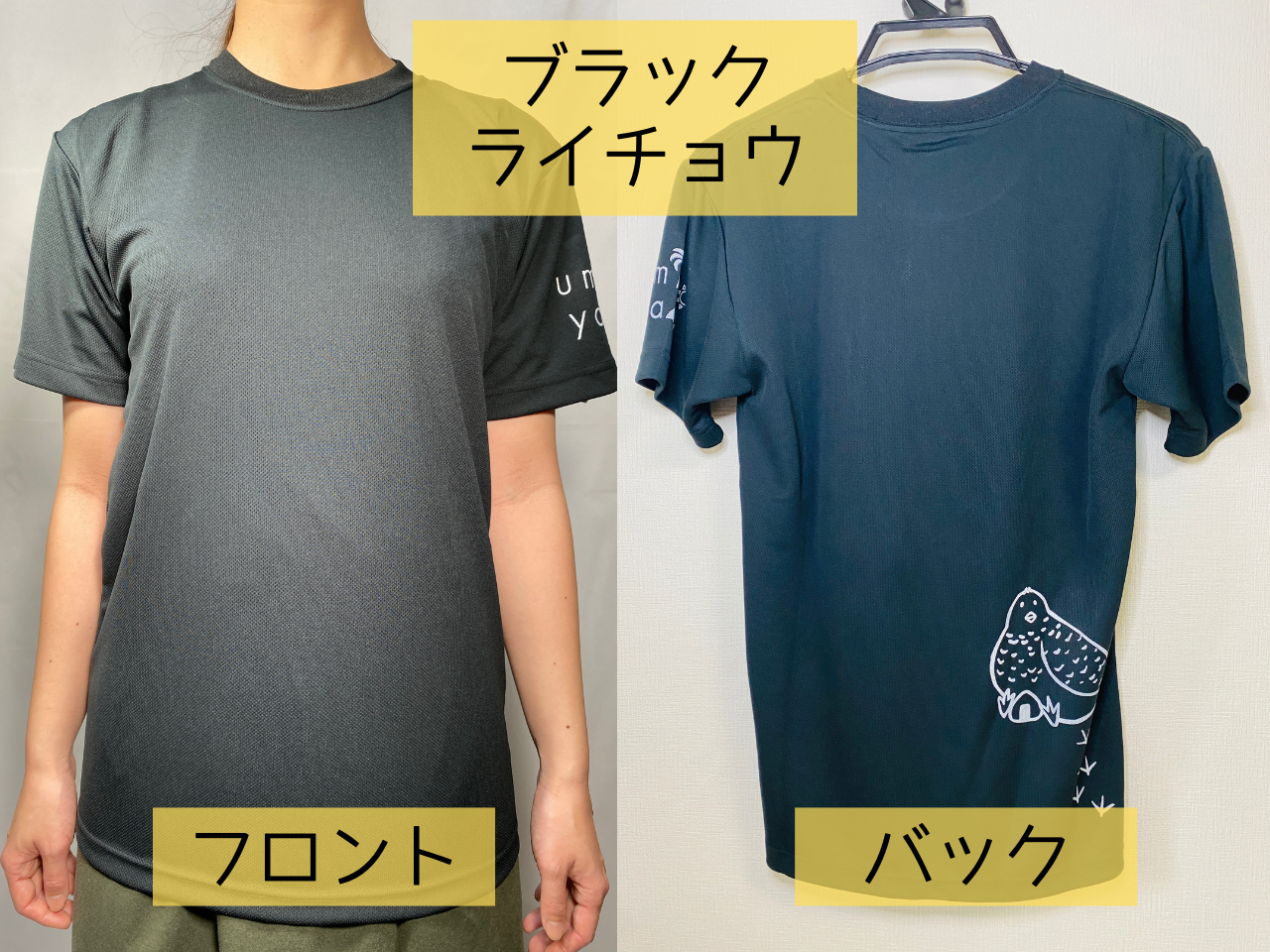 汗ジミが目立ちにくい吸水速乾Tシャツ　ライチョウプリント